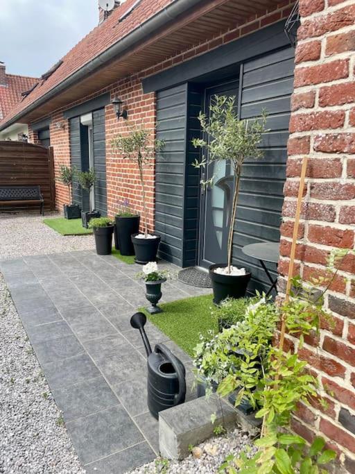 Le Clos Des Glycines Saint-Martin-Lez-Tatinghem Esterno foto