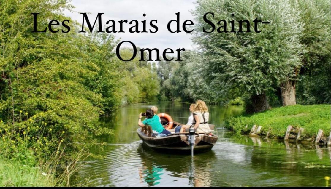 Le Clos Des Glycines Saint-Martin-Lez-Tatinghem Esterno foto