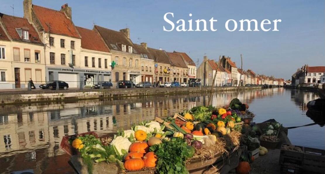 Le Clos Des Glycines Saint-Martin-Lez-Tatinghem Esterno foto